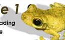 Pond CSS